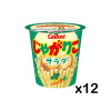 [N-0026-01] 카루비 자가리코 사라다 57g X 12개